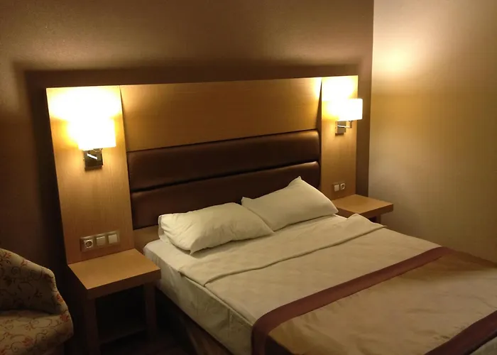Hotel Sesin 4*
